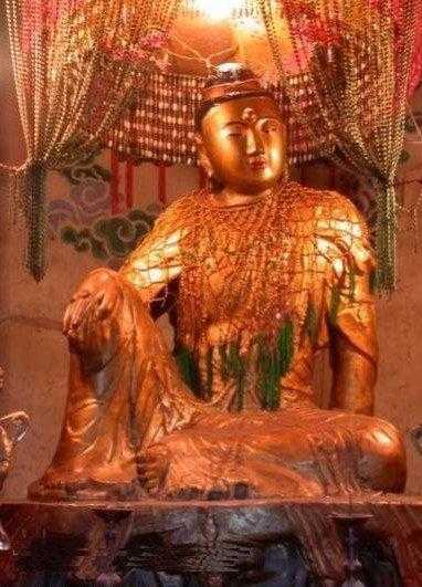 歪脖老母图片,了解这种独特的自然现象
