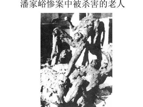 红田惨案的真相揭秘,背后隐藏了哪些秘密?