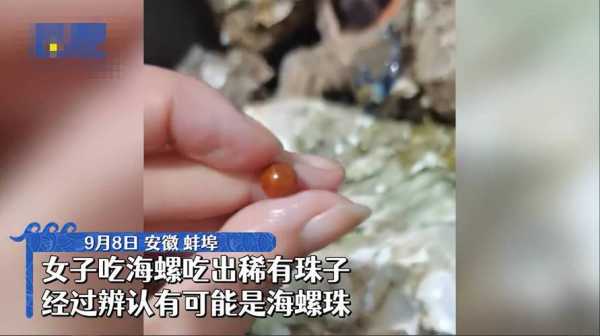 蚝珠的珍贵价值,如何选购及鉴别?