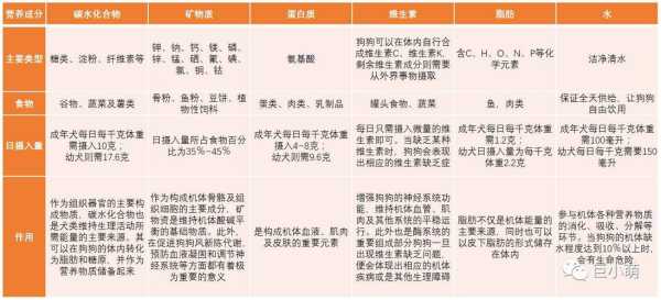 试量狗肉, 你了解它的营养价值吗？