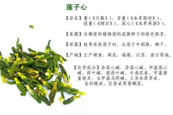 净心莲的神奇功效,如何帮助你提升内心平静?