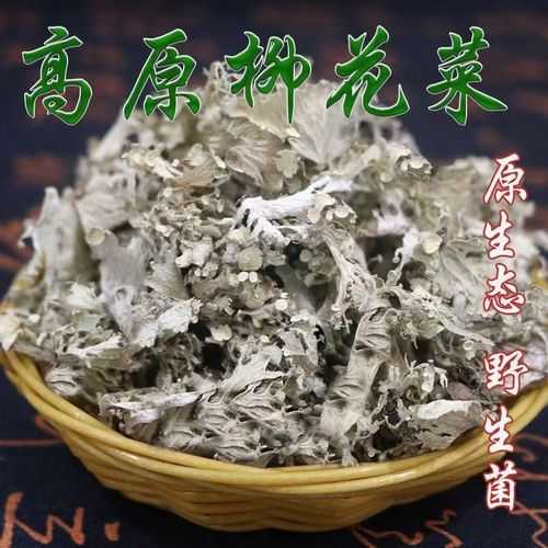 柳花菜的营养价值,如何正确食用?