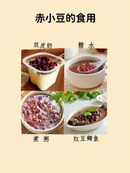 火山豆的营养价值,适合哪些人群食用?