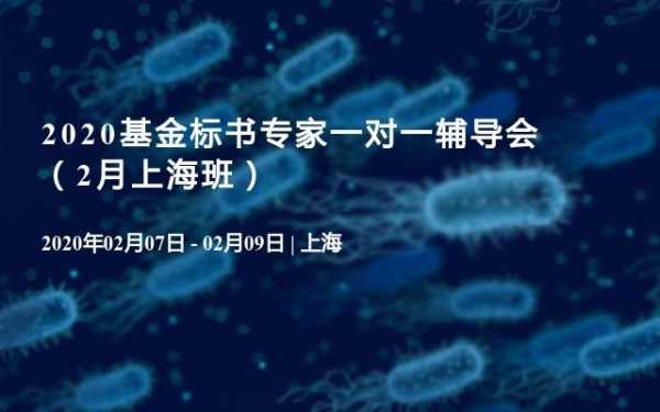 田林宾馆, 特色服务与优惠活动揭秘