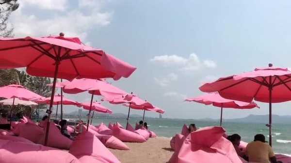 粉色沙滩在哪里,十大必访粉色沙滩推荐