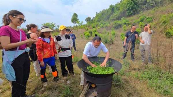 西乡茶园, 体验地道的茶文化之旅