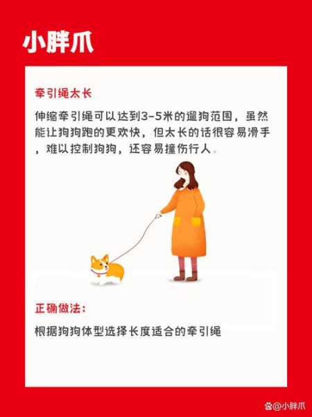 遛洋狗的最佳技巧, 如何让它更快乐?