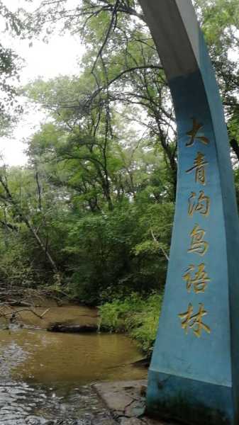 大青沟旅游攻略, 如何玩转这片美丽天地?