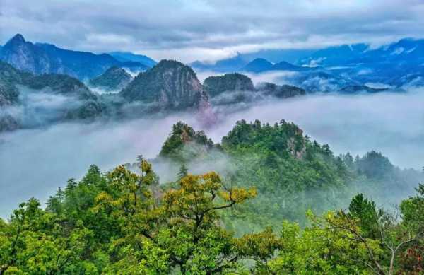 老界岭在哪里, 探索这片神秘的自然风光