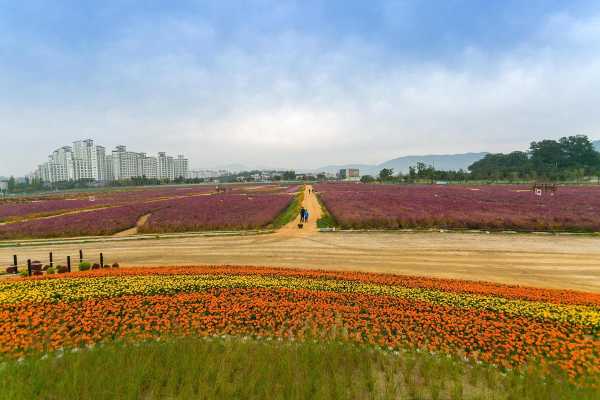 花田酒地, 品味诗意生活的理想之地