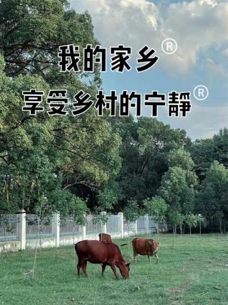 五岛一村：如何享受宁静的乡村生活？