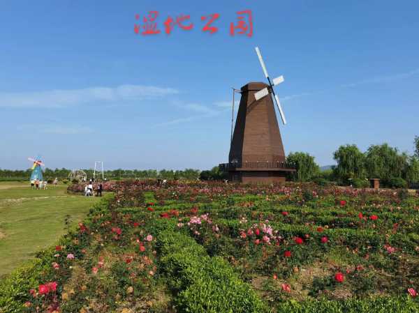 台州湾湿地公园, 适合全家出游的好去处吗？