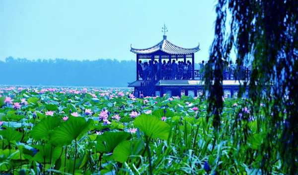 团湖荷花公园, 适合绝美夏日游玩的地方