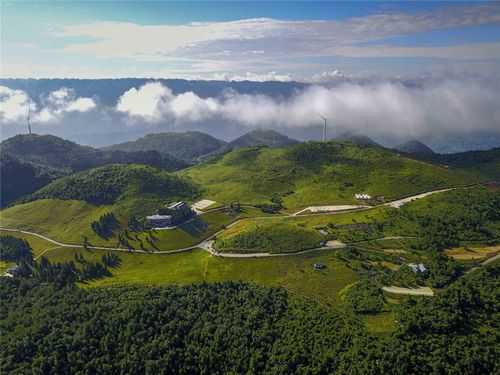 岐山草场,探索陕西美丽风光之地