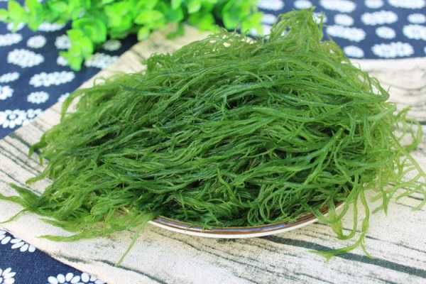 盐须菜图片,了解这种海洋蔬菜的独特魅力