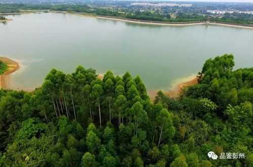 西大河水库, 了解它的历史与生态价值