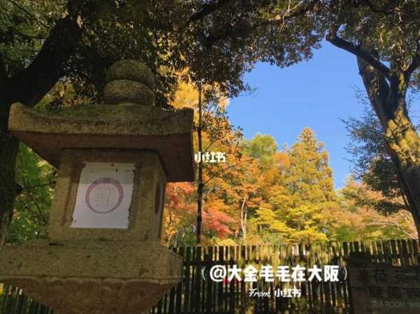8月奈良天气,适合旅游吗?