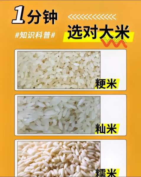 万盛米行, 如何选择优质大米?