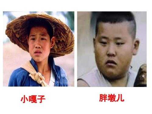 娃嘎, 你了解这种文化现象吗?