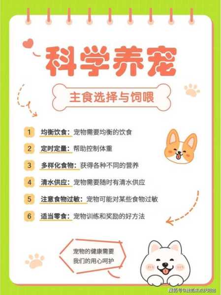 宠乐游，如何让宠物享受无忧旅程？