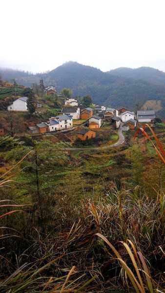 山上悠雅：探寻宁静与自然的完美融合