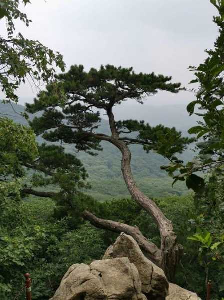 西丰城子山,探索这座隐藏的自然宝藏