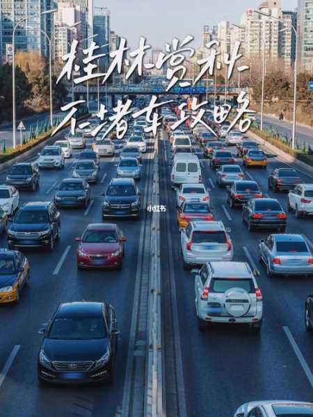 东湖隧道限号信息,如何避免高峰期堵车?