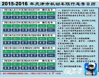 临时牌照如何限号, 详解限号规则与影响