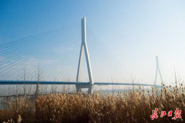 武汉长江大桥限号2024，如何影响通行效率？