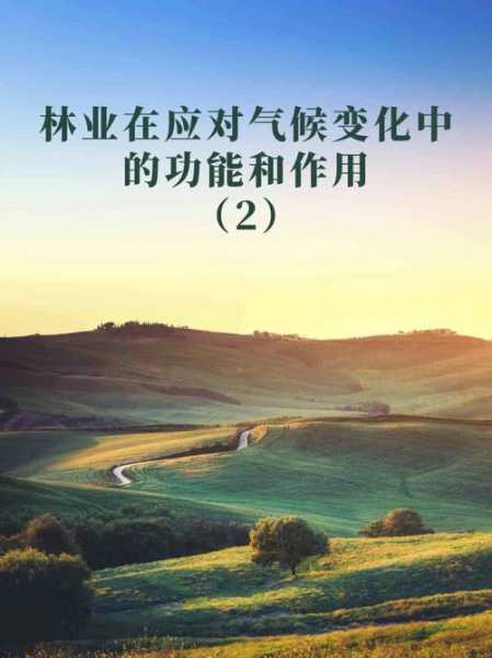天气雨波, 如何应对多变的气候?
