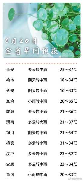 施泰因天气, 今天的天气预报是什么?