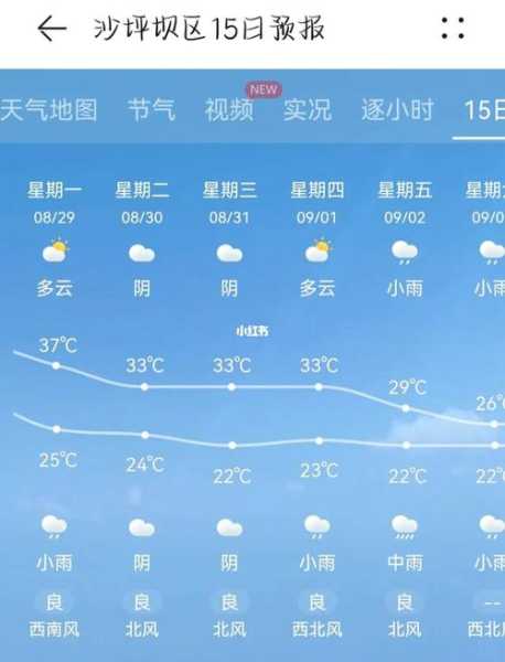 重庆偏岩天气,今日气温和预报情况如何?