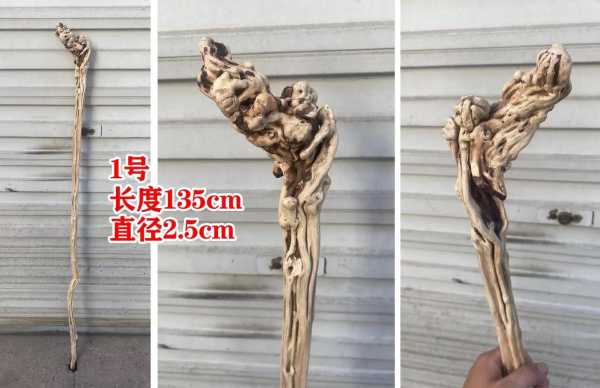 万寿藤的功效与用途, 你了解多少?
