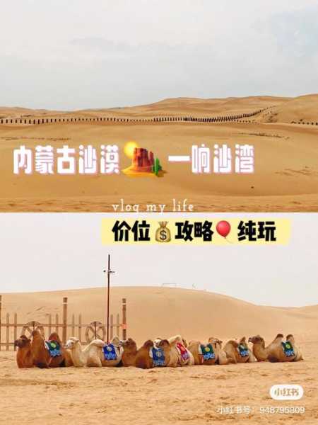 响沙湾官网, 探索最新旅游信息与优惠