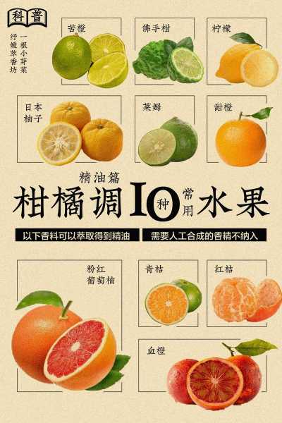 四会柑的营养价值与食用方法, 你知道多少?