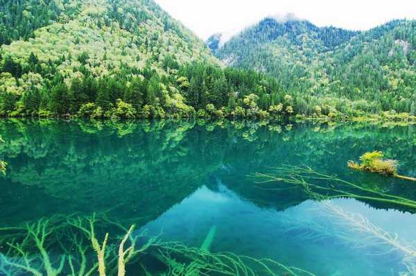 熊猫海在哪里,探寻这个神秘的旅游胜地