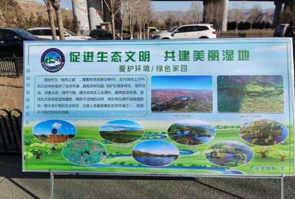 绿梦湿地生态园,探索自然之美与生态价值