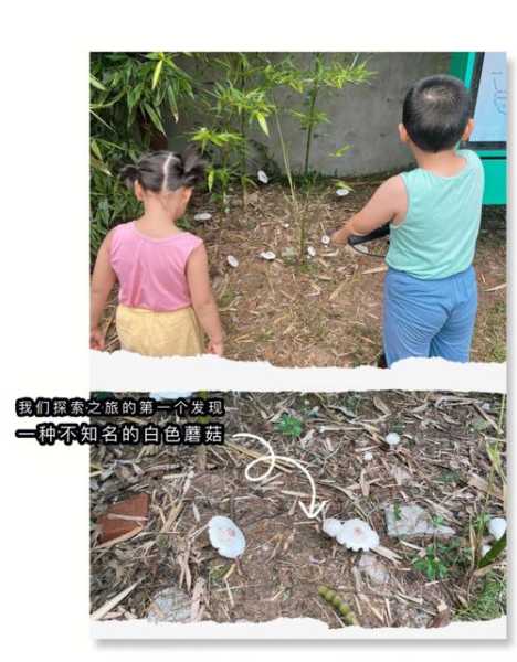 象河乡，探索这片神秘的自然宝藏