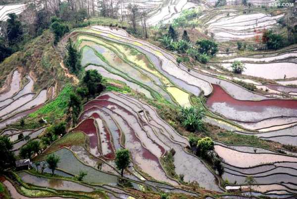 元阳旅游攻略, 探索美丽的梯田风光