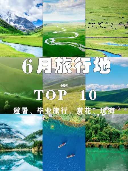 六人旅游, 如何选择最佳目的地?