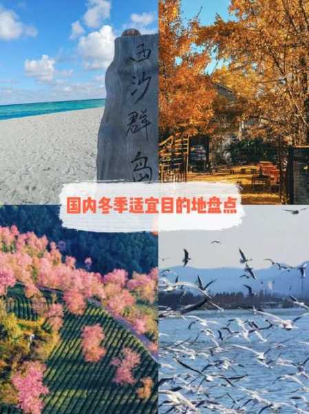 冬季旅游, 如何挑选最佳目的地?