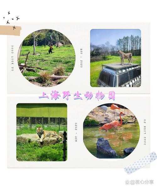 动物旅游,你了解哪些热门目的地?