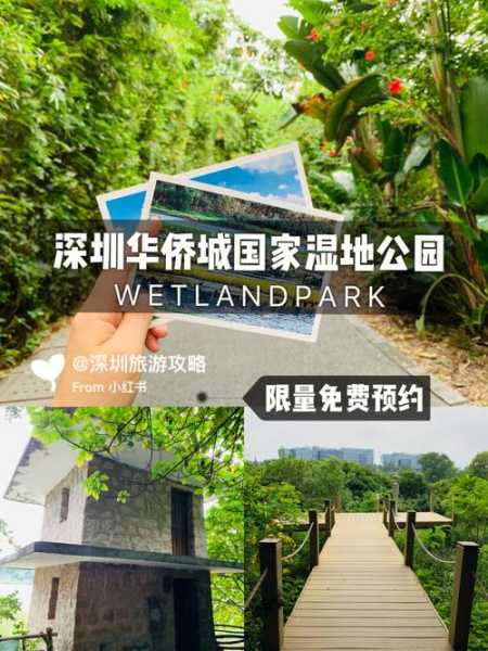 深圳旅游景点免费, 如何享受无限乐趣?