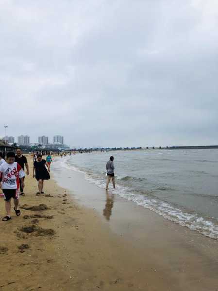 龙口东海旅游, 探索美丽海岸的最佳玩法