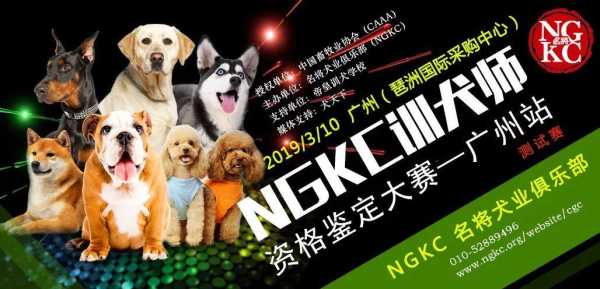犬博会门票,如何获取最优惠的票价?