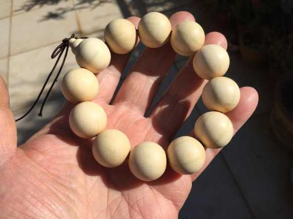 六棱木的独特魅力，为什么越来越受欢迎？