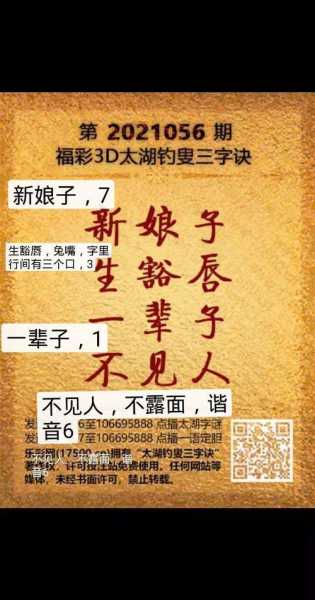 大湖字太湖字谜，解读谜底的技巧与乐趣