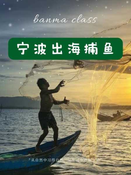 小鱼夫,如何成为海洋中的生存高手?