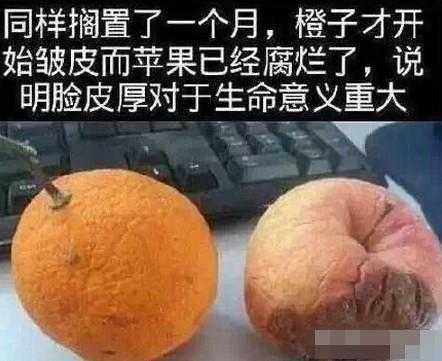 拷逼:了解这一现象的真相与影响
