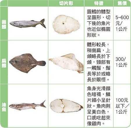 油桶鱼, 如何选购和养殖?